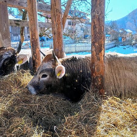 Koflhof Urlaub Auf Dem Bauernhof Villa Aldino Dış mekan fotoğraf