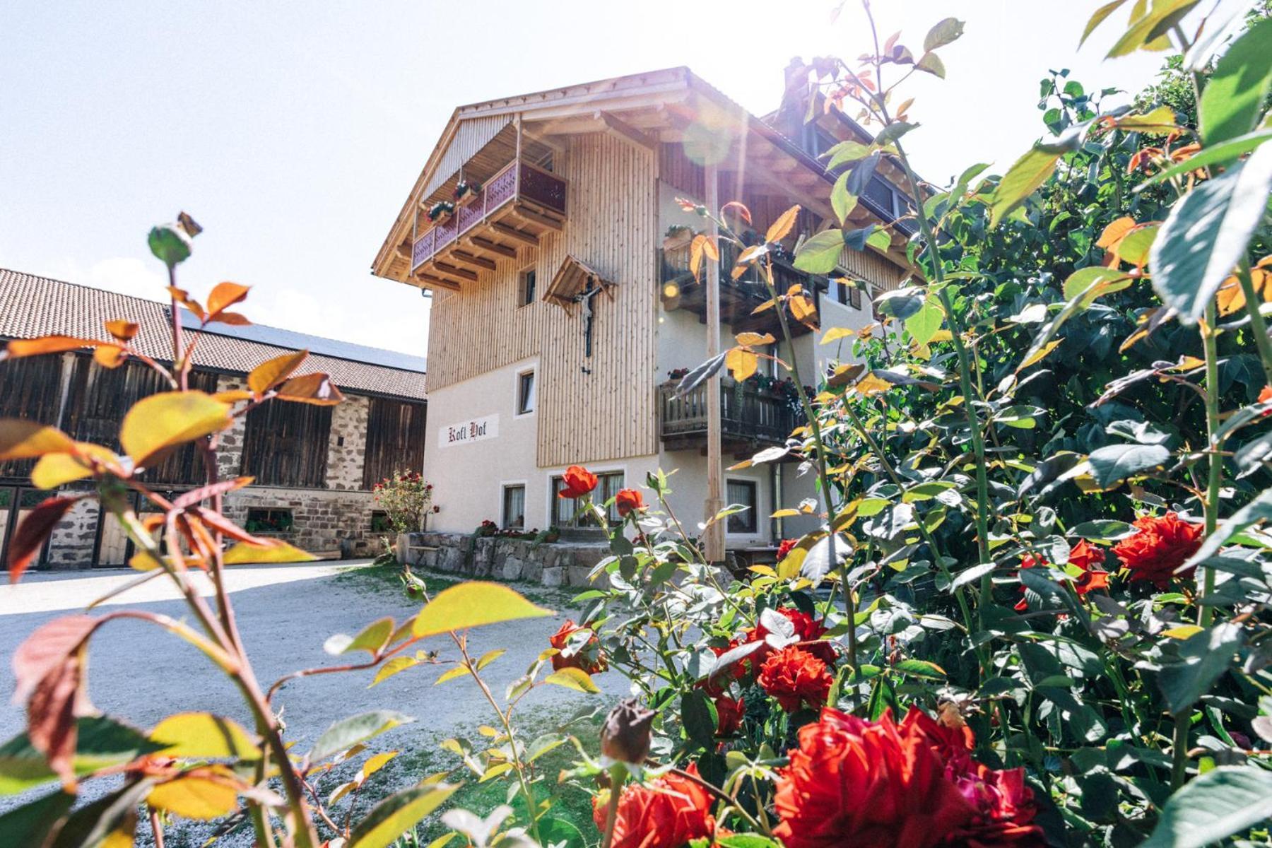 Koflhof Urlaub Auf Dem Bauernhof Villa Aldino Dış mekan fotoğraf